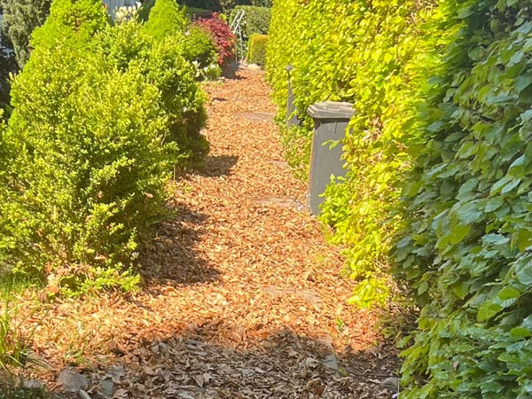 Vorher und nachher-before