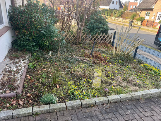 Vorher und nachher-before