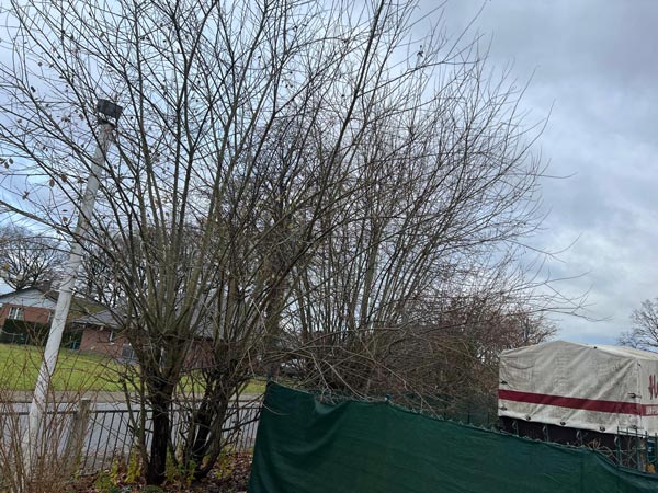 Vorher und nachher-before