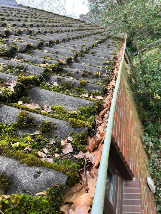 Vorher und nachher-before