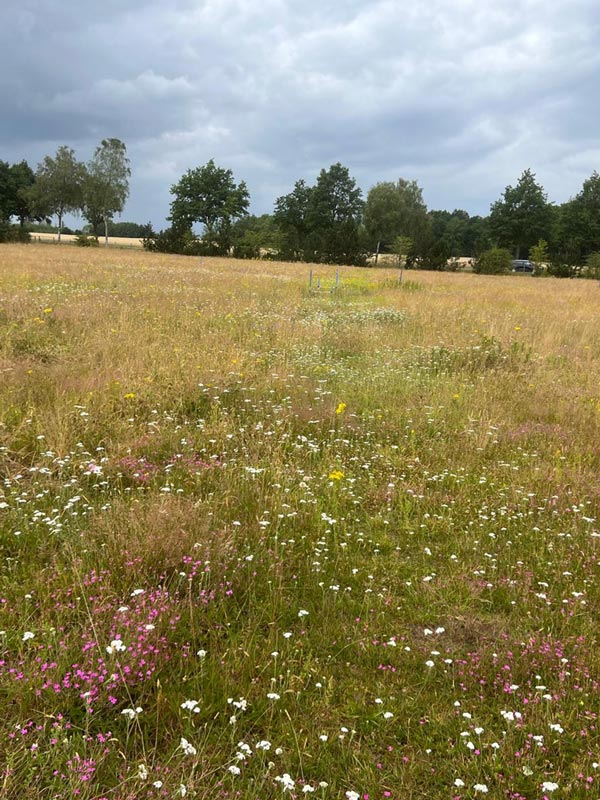 Vorher und nachher-before