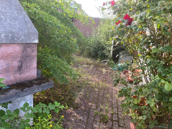 Vorher und nachher-before