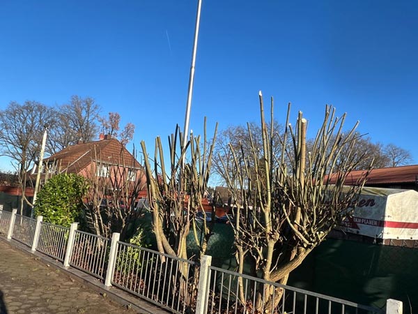 Vorher und nachher-after