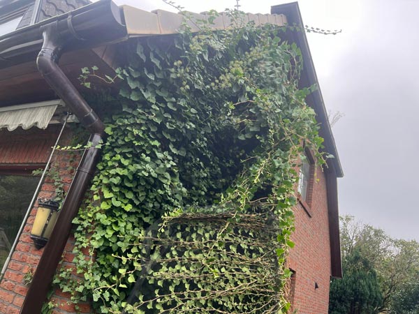 Vorher und nachher-before