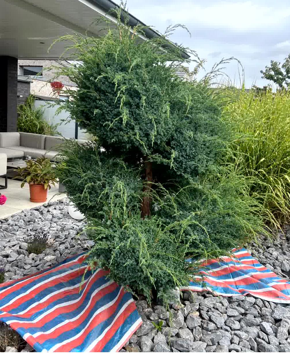 Vorher und nachher-before