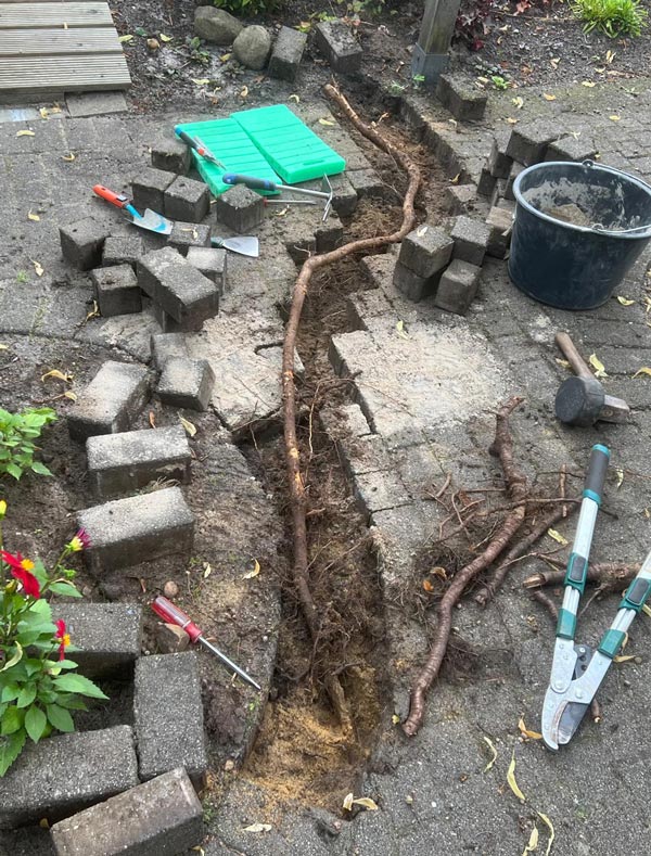 Vorher und nachher-before