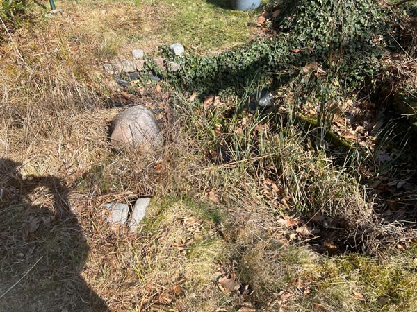 Vorher und nachher-before