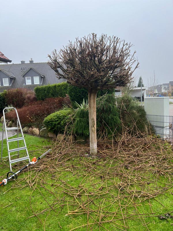 Vorher und nachher-after