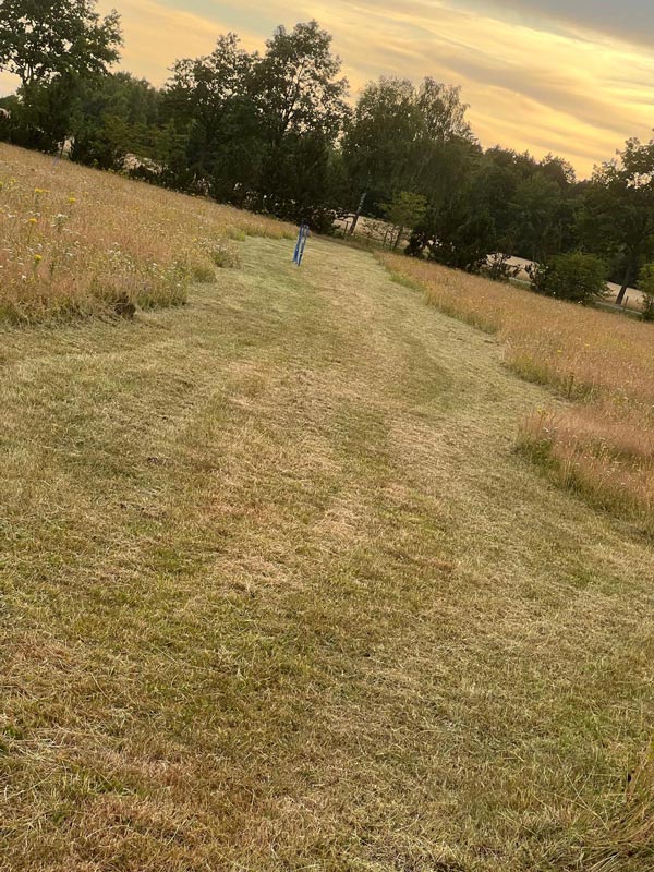 Vorher und nachher-after