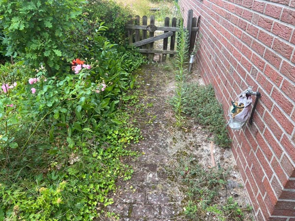 Vorher und nachher-before