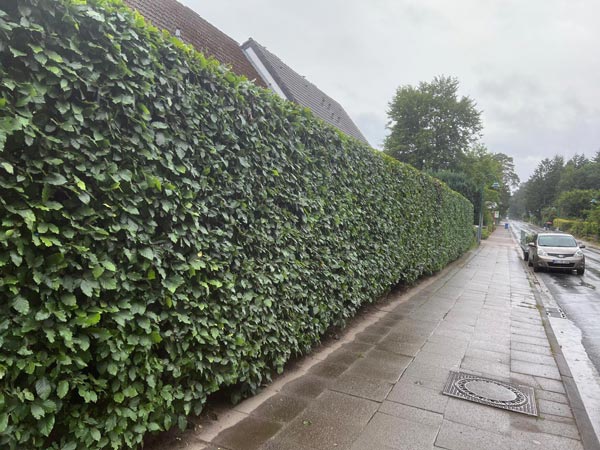 Vorher und nachher-after