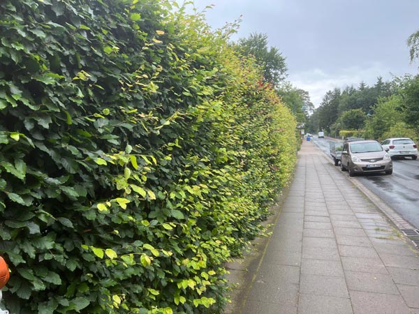 Vorher und nachher-before