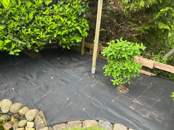 Vorher und nachher-after