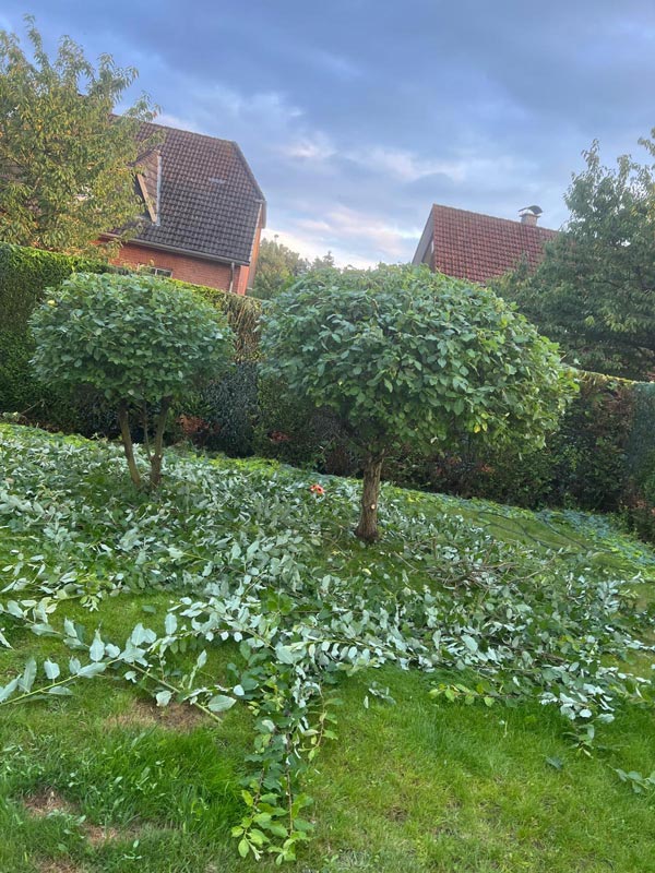 Vorher und nachher-after