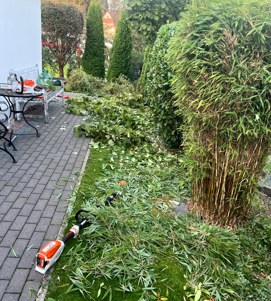 Vorher und nachher-before