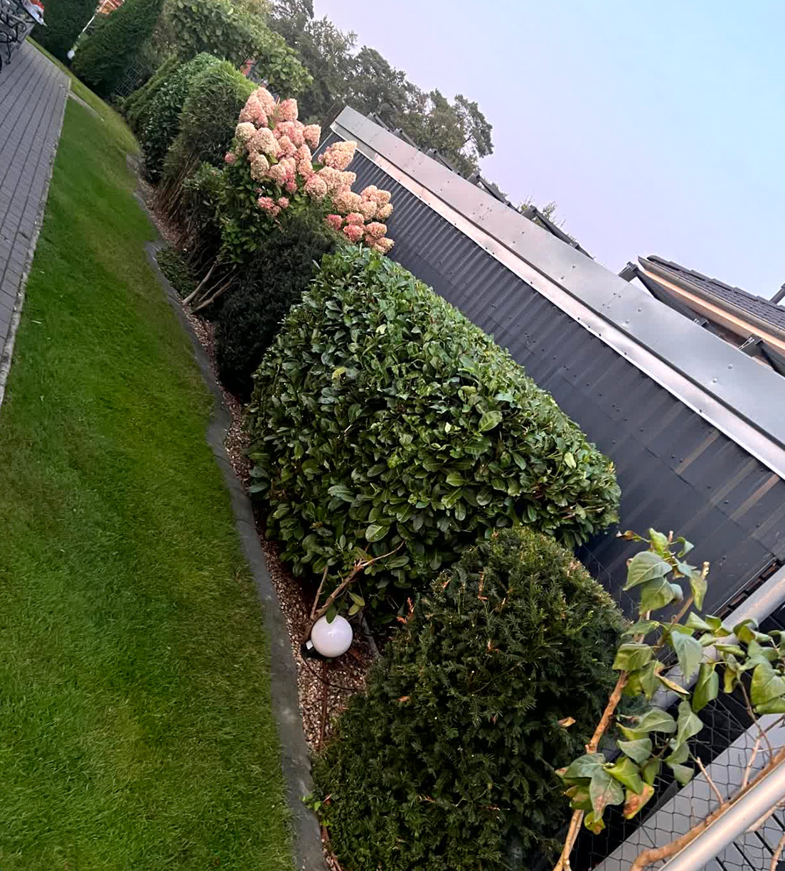 Vorher und nachher-after