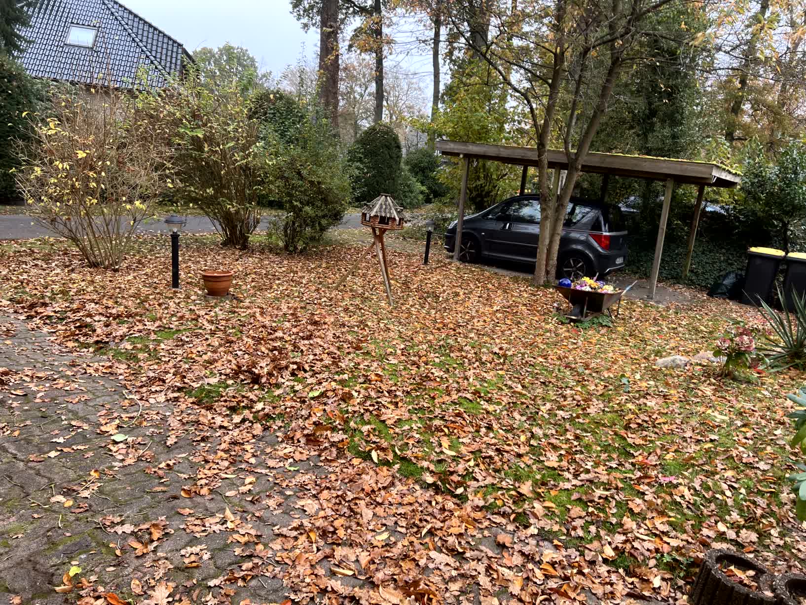 Vorher und nachher-before