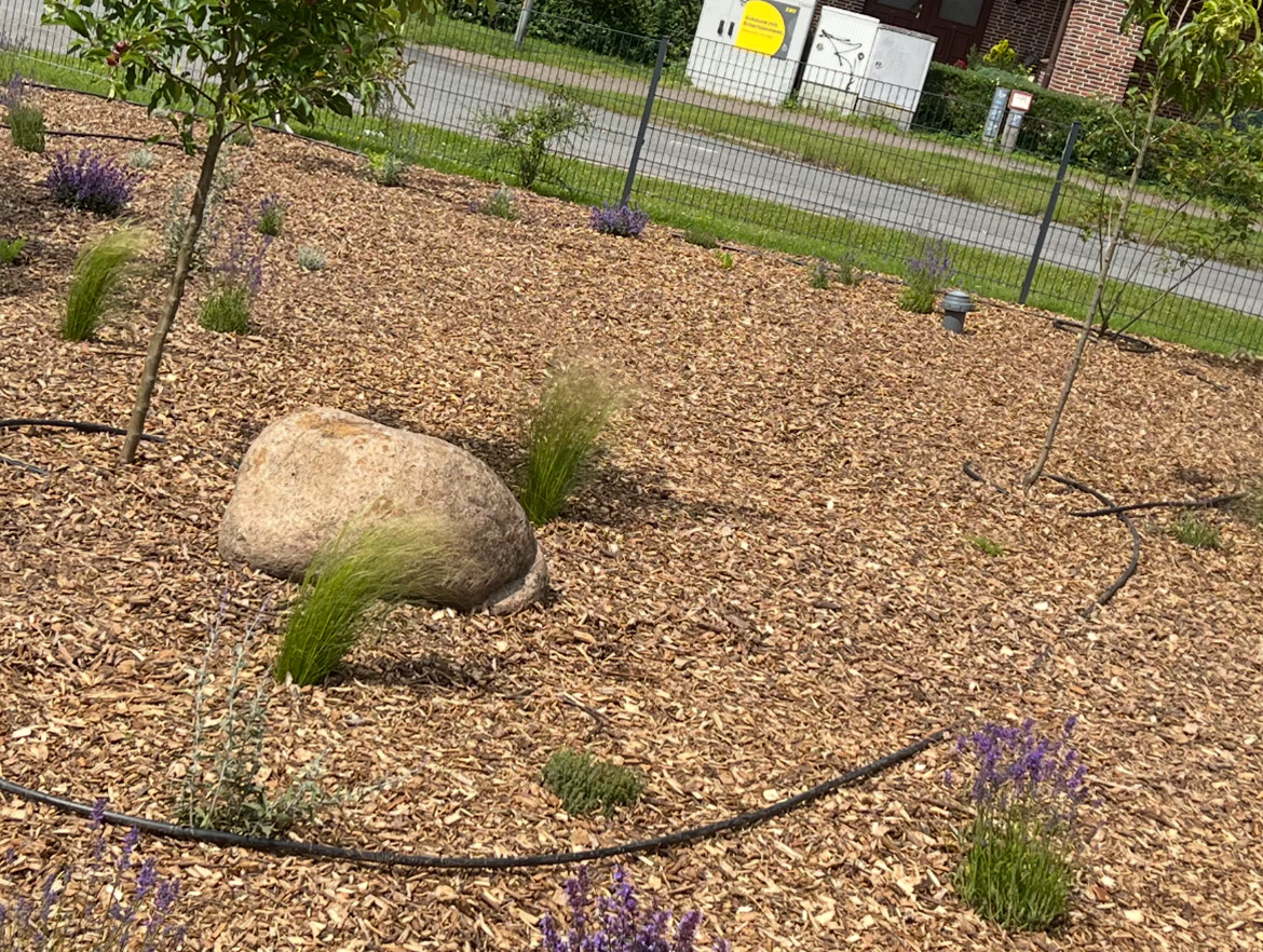 Vorher und nachher-after