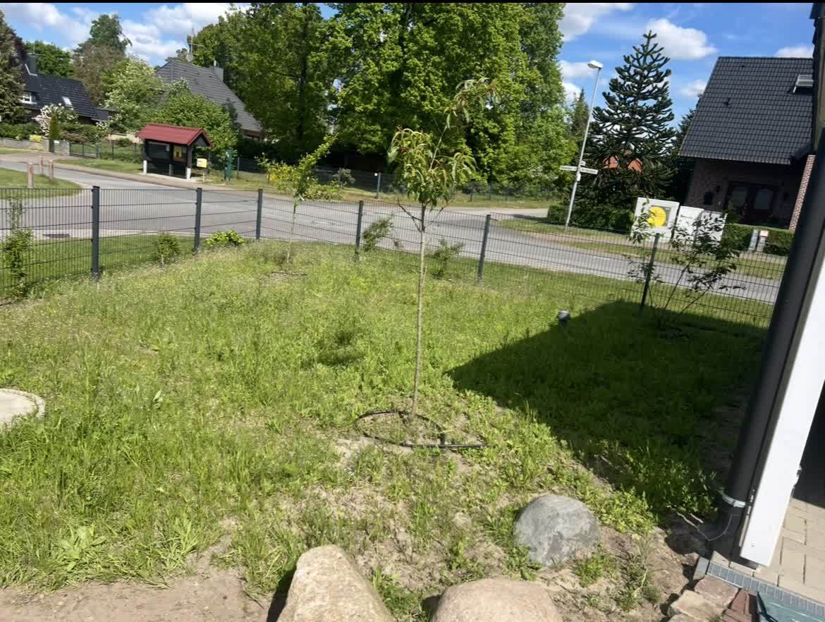 Vorher und nachher-before