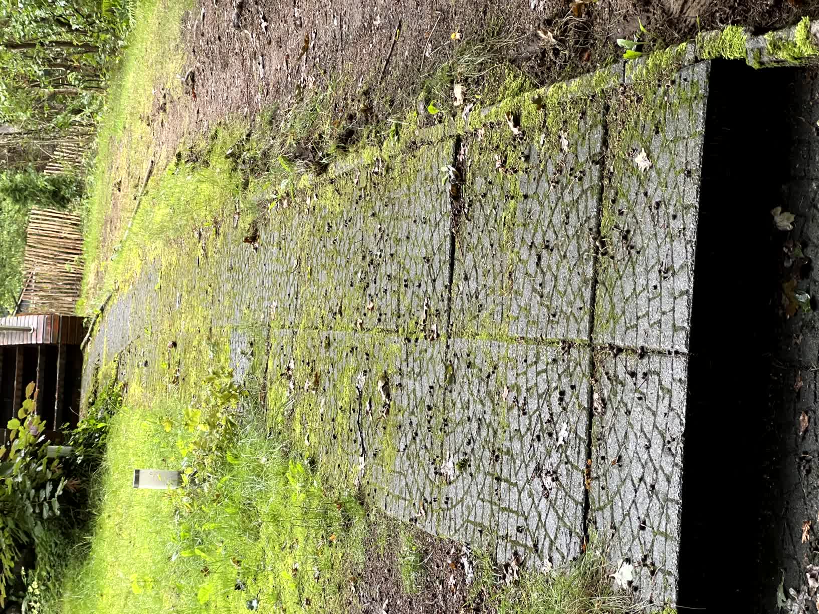 Vorher und nachher-before