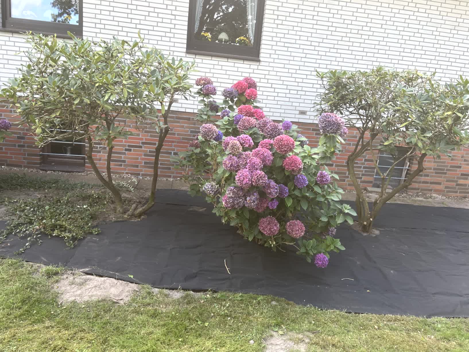 Vorher und nachher-before