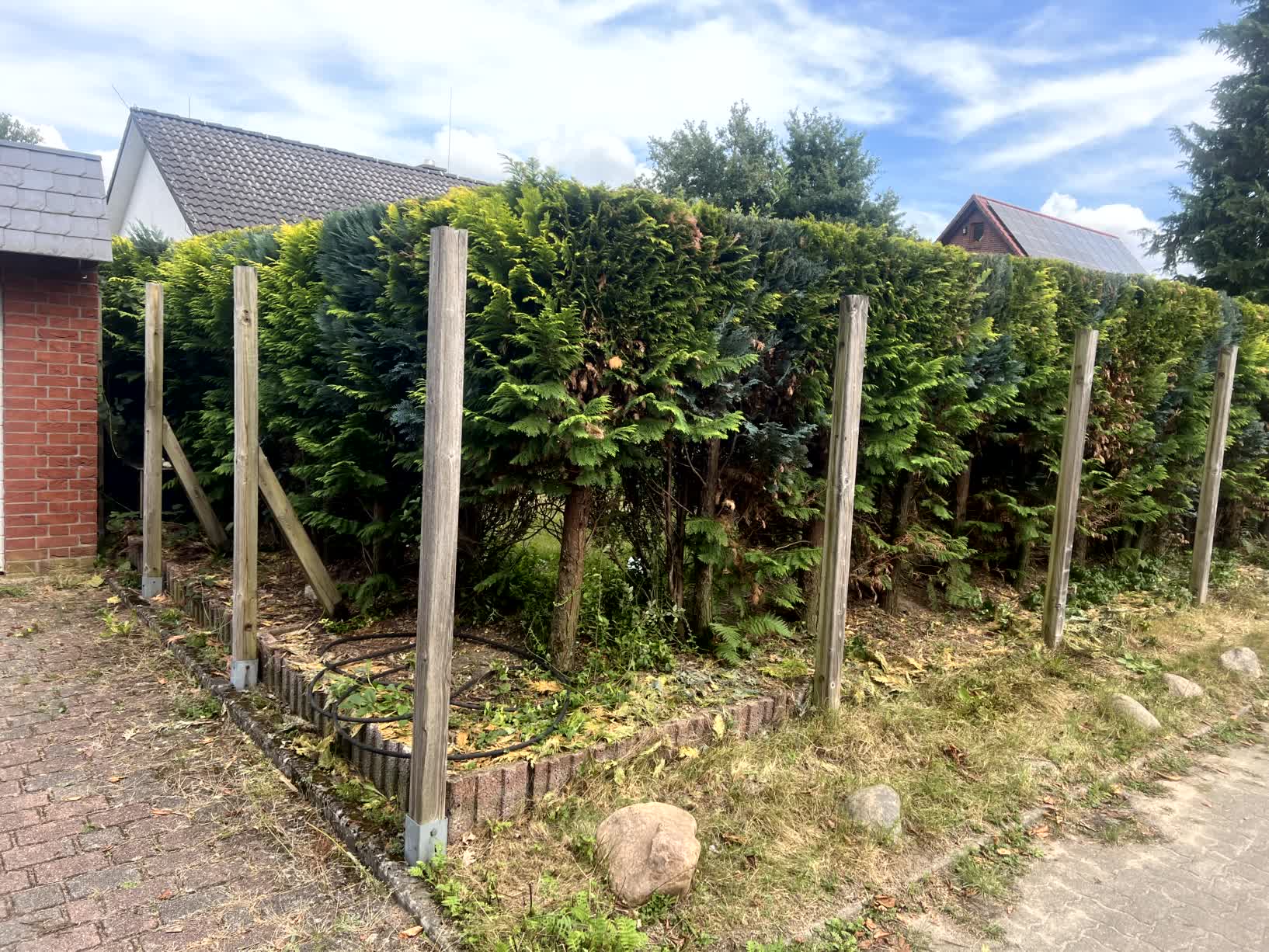 Vorher und nachher-before