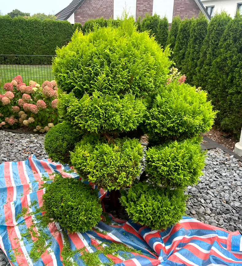 Vorher und nachher-before