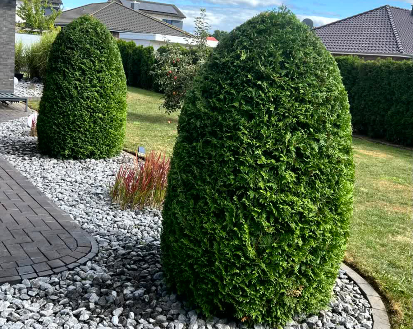 Vorher und nachher-after