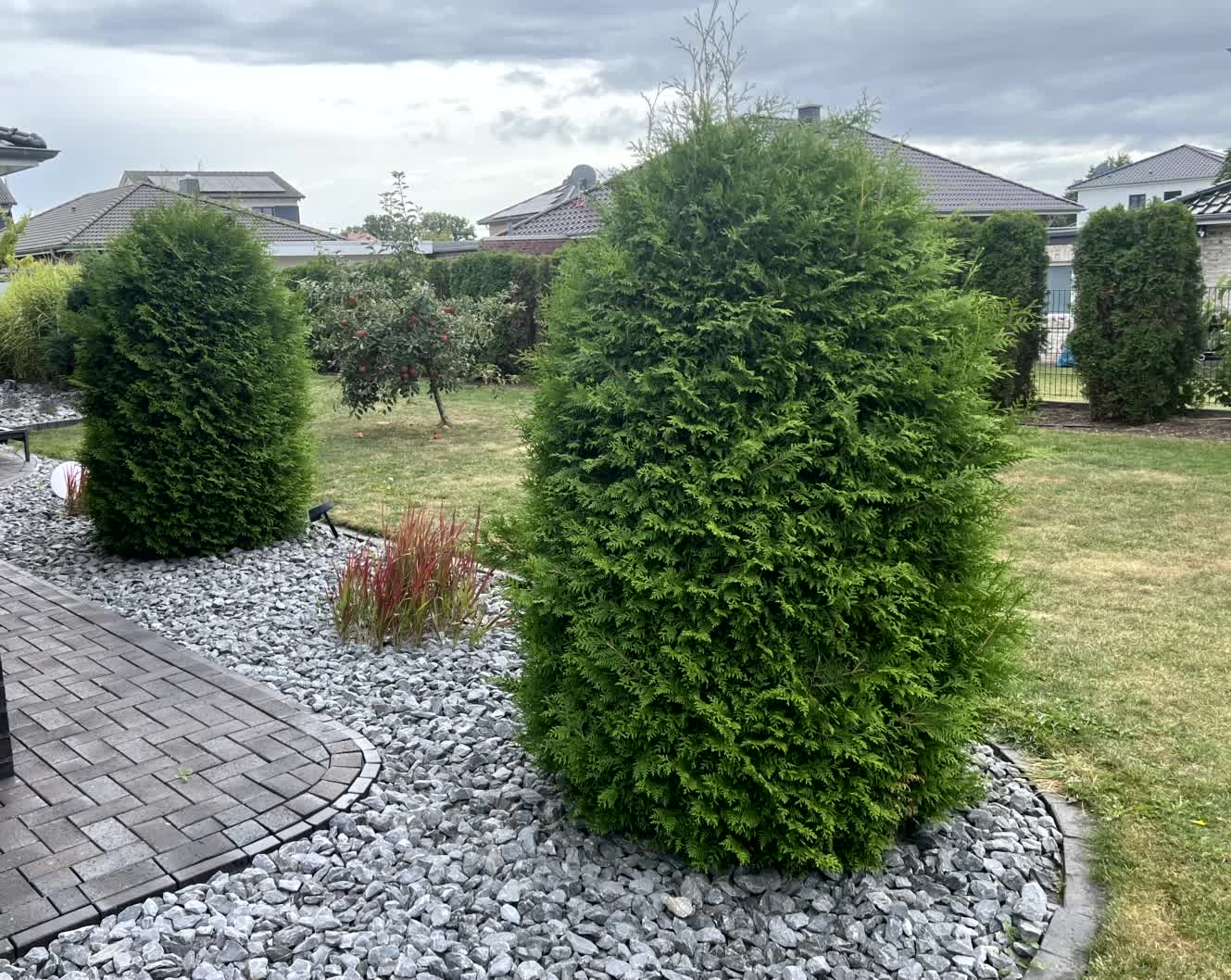 Vorher und nachher-before