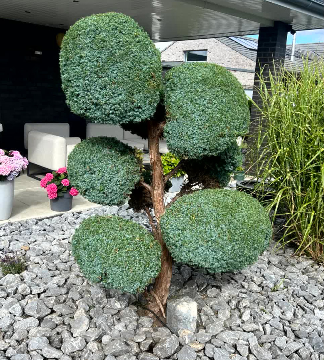 Vorher und nachher-after