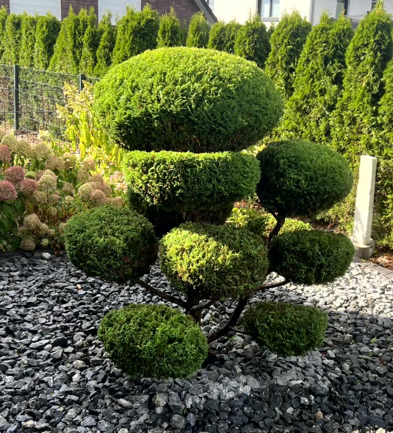 Vorher und nachher-after