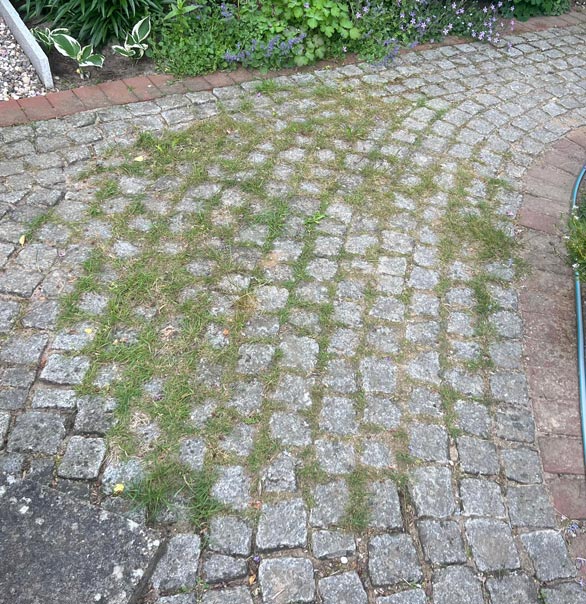 Vorher und nachher-before