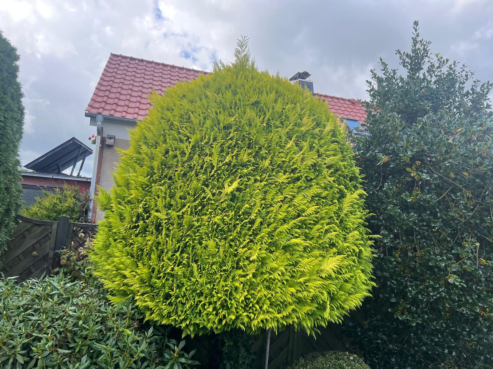 Vorher und nachher-before