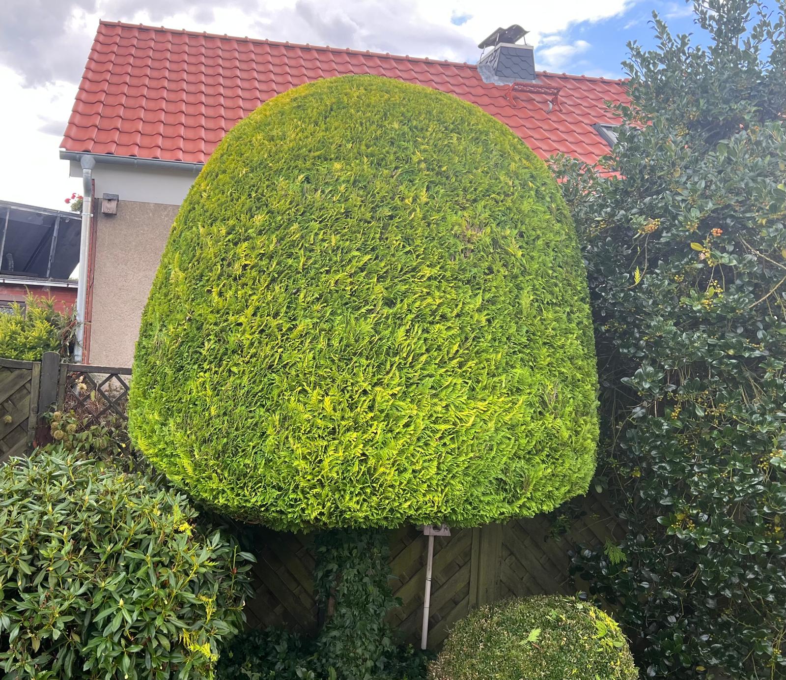 Vorher und nachher-after