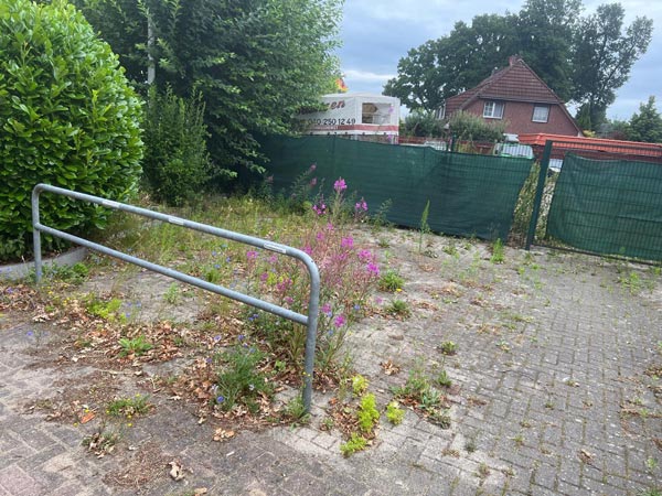 Vorher und nachher-before