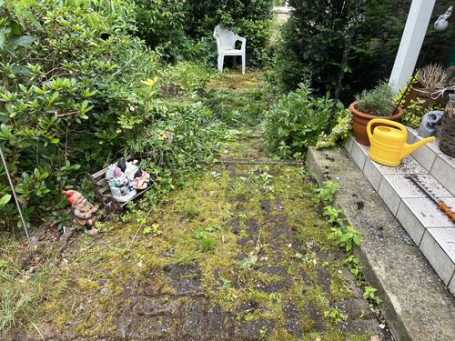 Vorher und nachher-before