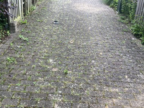 Vorher und nachher-before