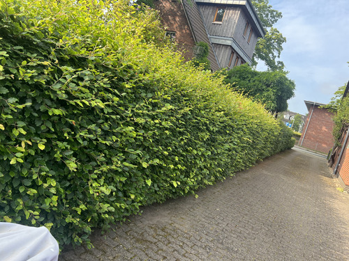 Vorher und nachher-before